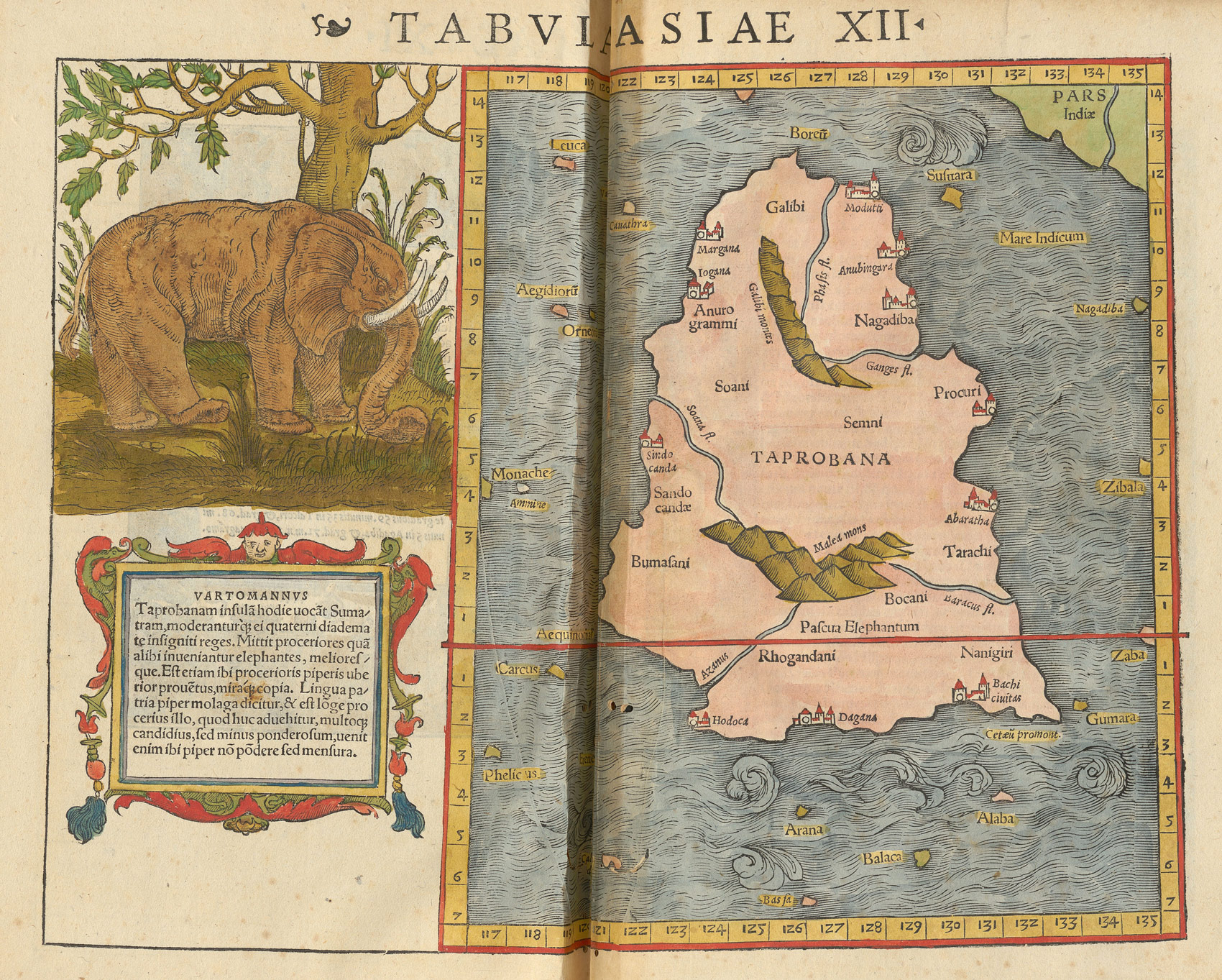 Auf der «Tabula Asiae XII» wird Taprobana in Sumatra identifiziert, Karte in: Geographia universalis, 1540, S. 299. Zentralbibliothek Zürich, T 112,2.