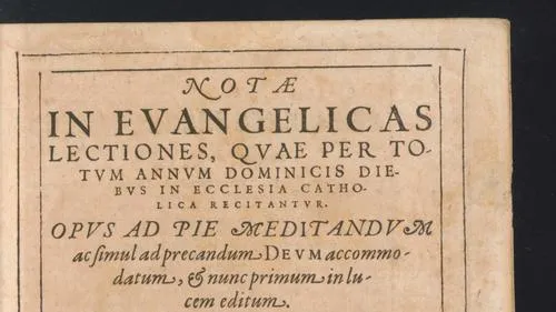 Notæ In Evangelicas Lectiones, Qvae Per Totvm Annvm Dominicis Diebvs In Ecclesia Catholica Recitantvr