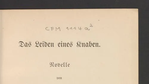 Das  Leiden eines Knaben : Novelle