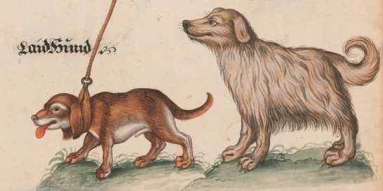 «Des Menschen bester Freund» – Hunde in Handschriften